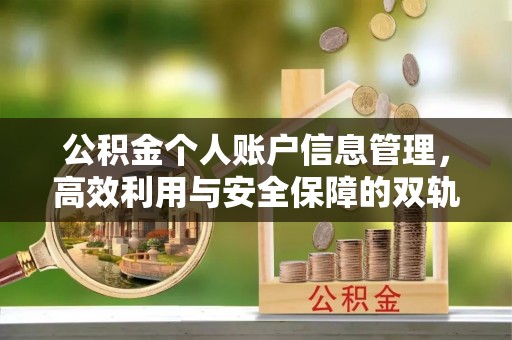 投资公积金个人账户信息管理，高效利用与安全保障的双轨并行