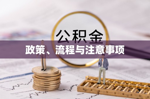 投资政策、流程与注意事项