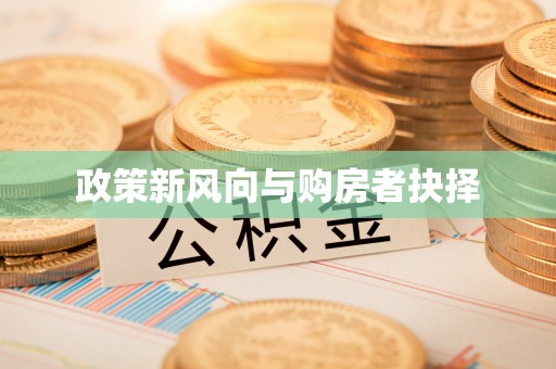 投资政策新风向与购房者抉择