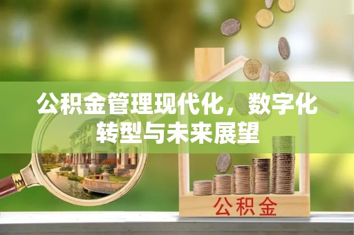 投资公积金管理现代化，数字化转型与未来展望