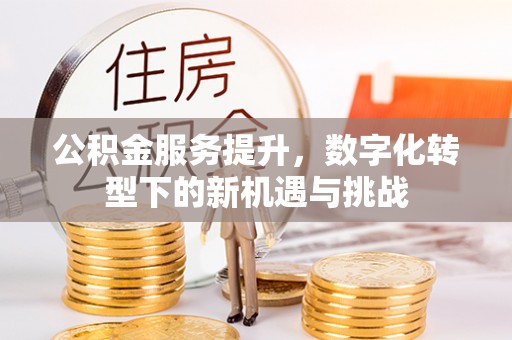 投资公积金服务提升，数字化转型下的新机遇与挑战