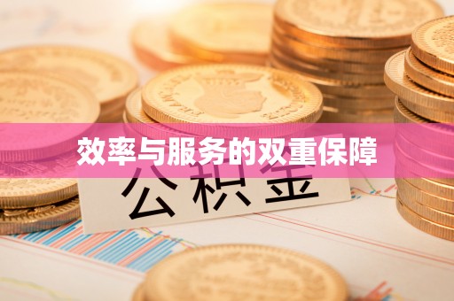 投资效率与服务的双重保障