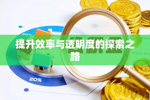 投资提升效率与透明度的探索之路