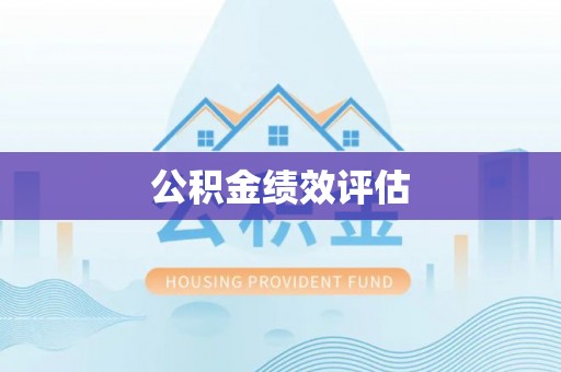 投资公积金绩效评估