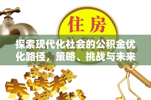 投资探索现代化社会的公积金优化路径，策略、挑战与未来展望