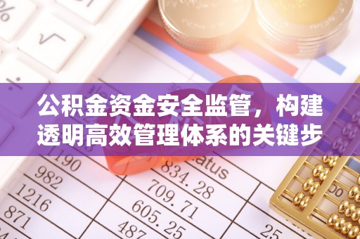 投资公积金资金安全监管，构建透明高效管理体系的关键步骤