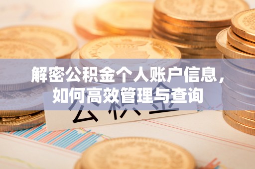 投资解密公积金个人账户信息，如何高效管理与查询