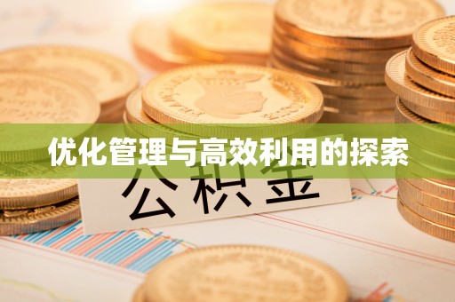 投资优化管理与高效利用的探索