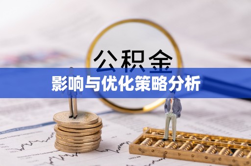 投资影响与优化策略分析