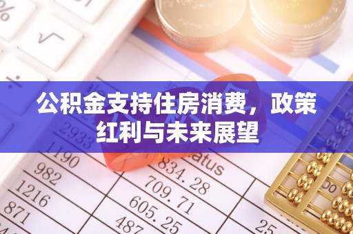 投资公积金支持住房消费，政策红利与未来展望