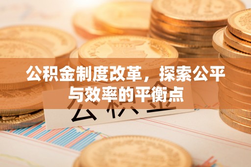 投资公积金制度改革，探索公平与效率的平衡点