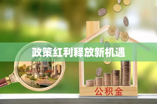 投资政策红利释放新机遇