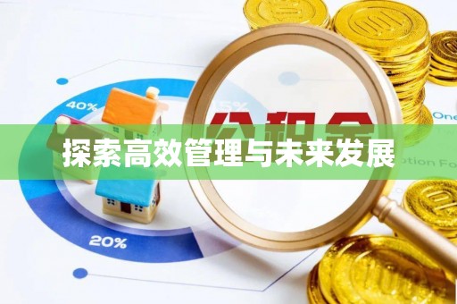 投资探索高效管理与未来发展