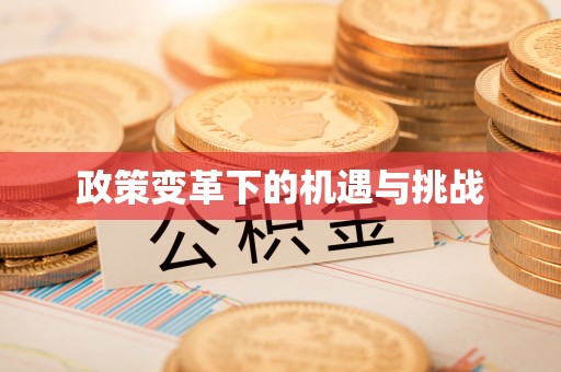 投资政策变革下的机遇与挑战