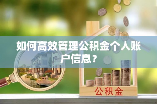 投资如何高效管理公积金个人账户信息？