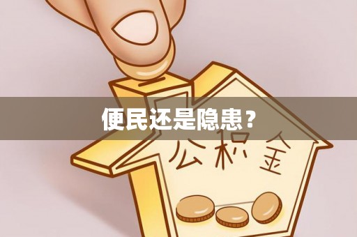 投资便民还是隐患？