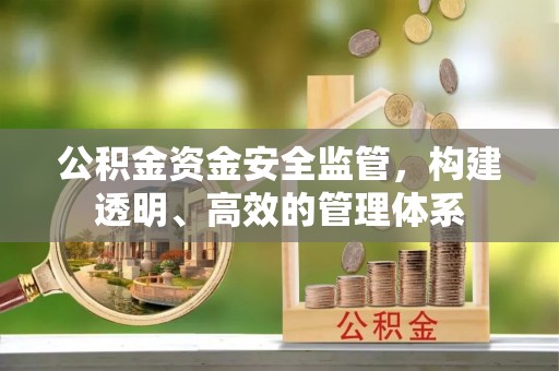 投资公积金资金安全监管，构建透明、高效的管理体系