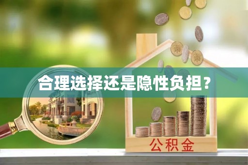 投资合理选择还是隐性负担？