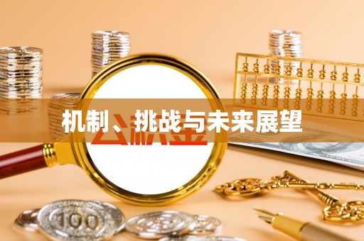 投资机制、挑战与未来展望