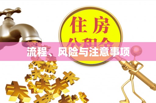 投资流程、风险与注意事项