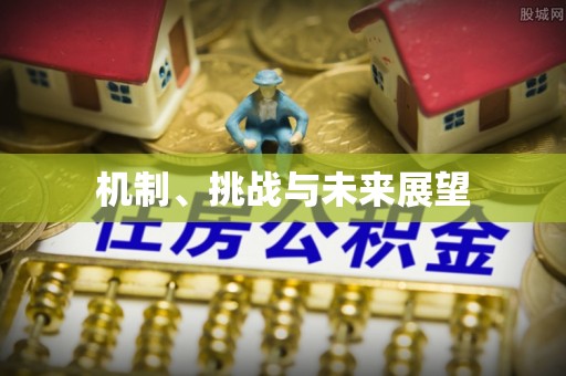投资机制、挑战与未来展望